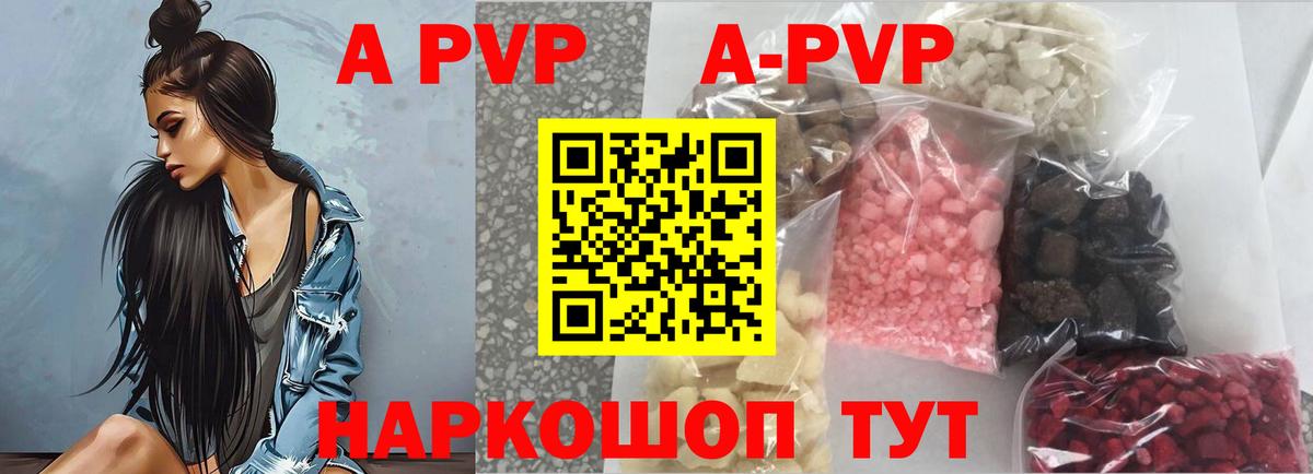 Альфа ПВП СК Грозный