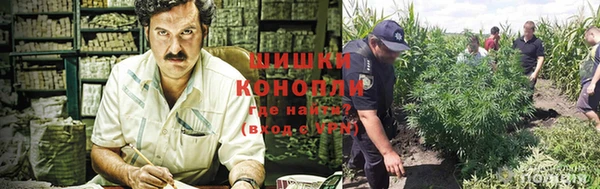 скорость Инта