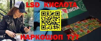 МДПВ Донецк