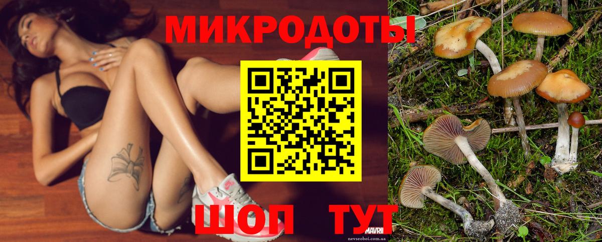 Грозный  Псилоцибиновые грибы прущие грибы  Псилоцибиновые грибы Magic Shrooms  Вход с VPN 